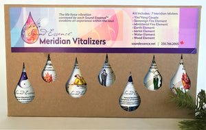 Meridian Vitalizer 60ml Set